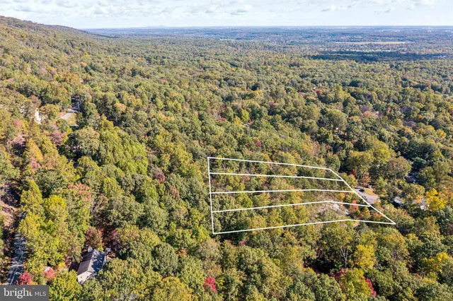a view of a yard with an outdoor space