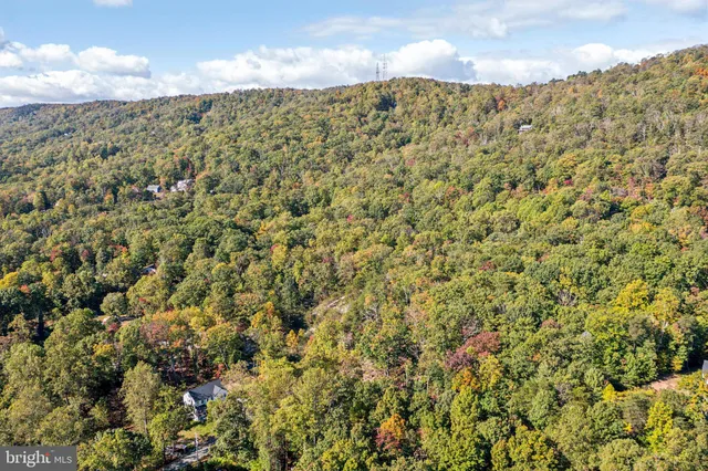 a view of a dry yard with green space