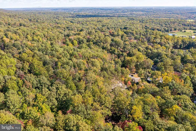 a view of a city with lush green forest