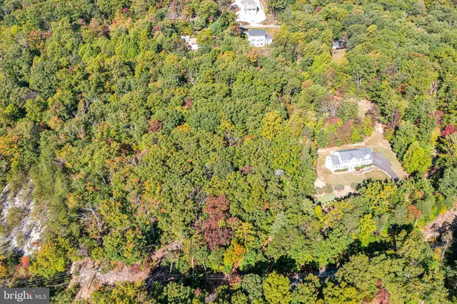 a view of a tree with a house in front of it