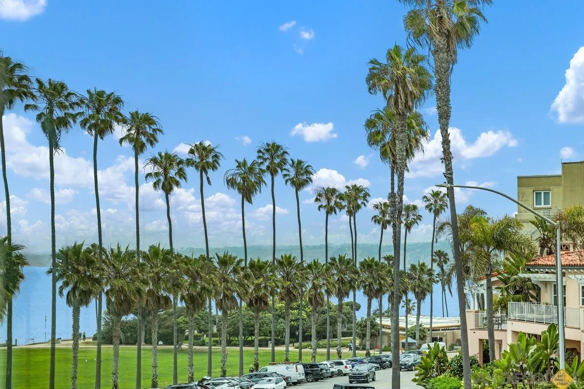 8040 Girard Avenue, Unit 2 La Jolla, CA 92037 - Photo 2 of 27 a palm tree sitting in front of a yard with palm trees