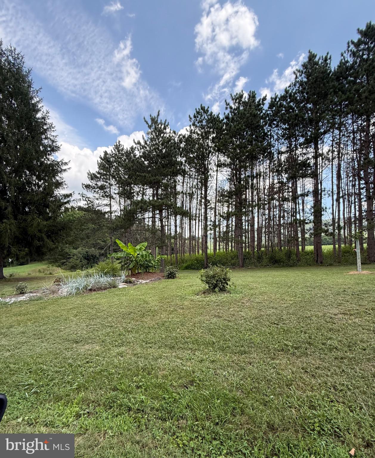 33940 Mountain Valley Road Millboro, VA 24460 - Photo 6 of 22 Lush greenery meets serene woodland backdrop.