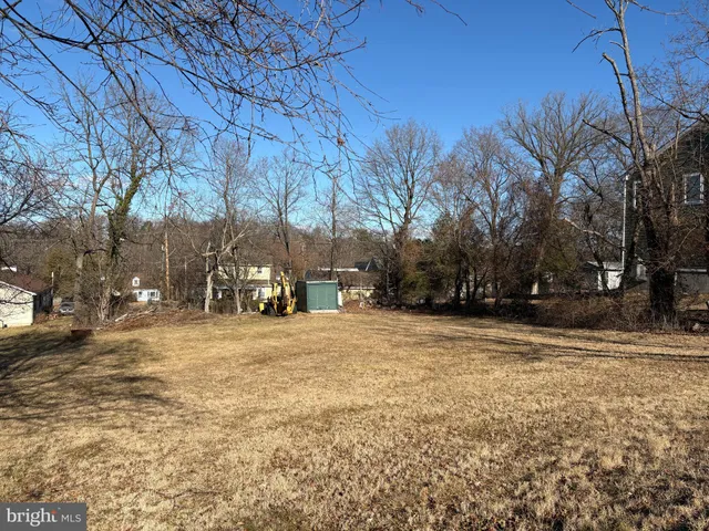 a view of road with large trees