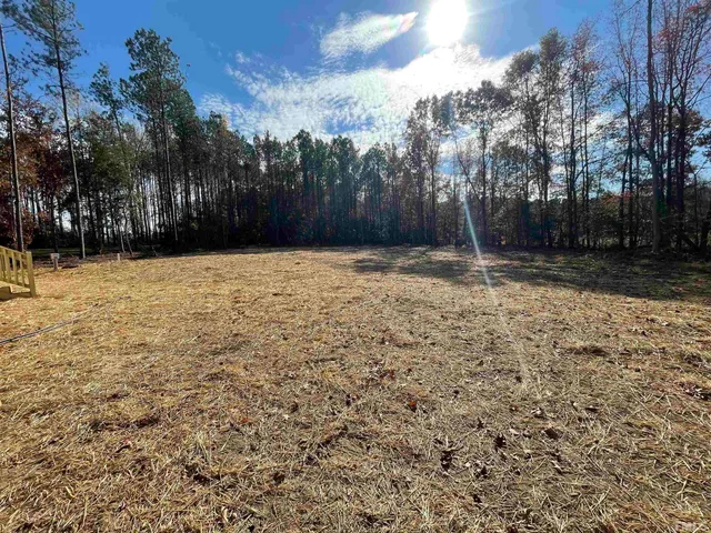 a view of outdoor space with trees
