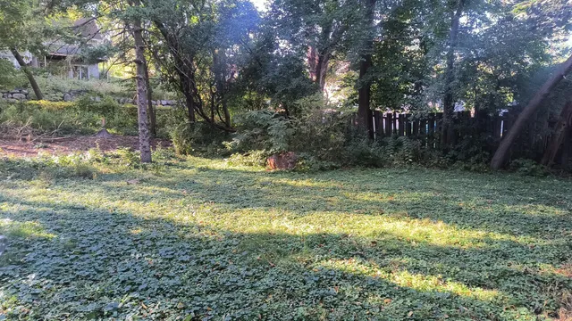 $319,900 | 1779 Frank Street, Maplewood, MN 55109