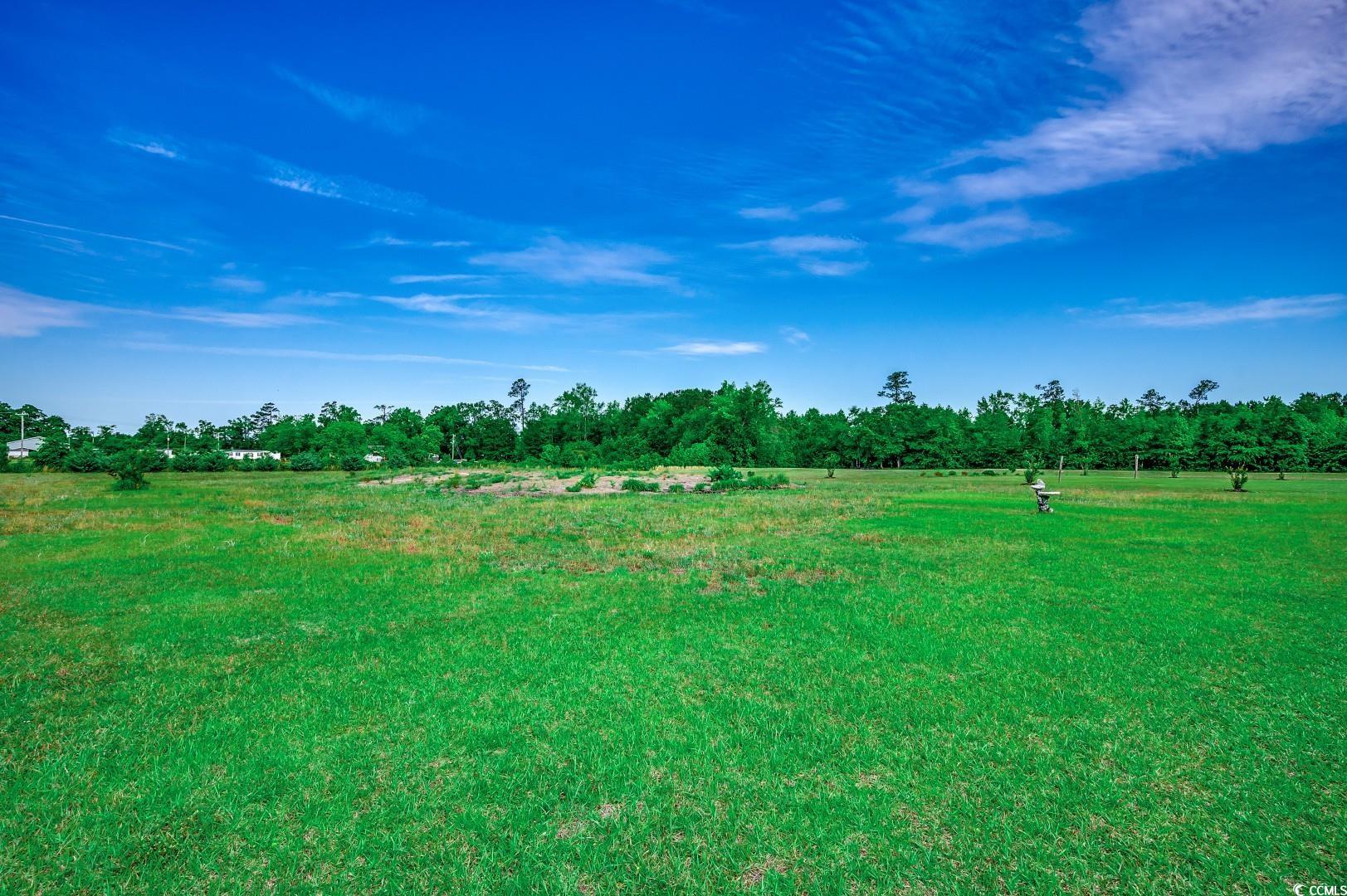 3148 Gause Road Conway, SC 29526 - Photo 28 of 30