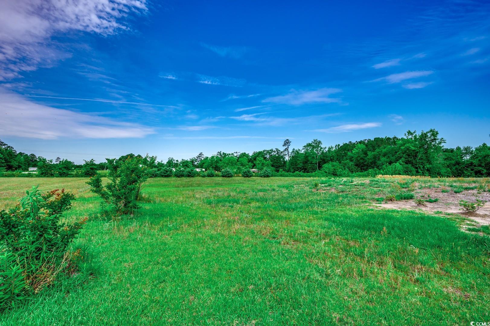 3148 Gause Road Conway, SC 29526 - Photo 29 of 30