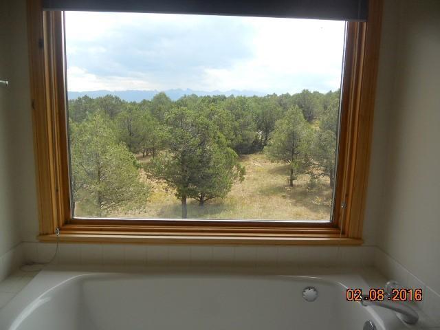 41 Turkey Trail Ridgway, CO 81432 - Photo 12 of 26 DSCN2571 (Small)