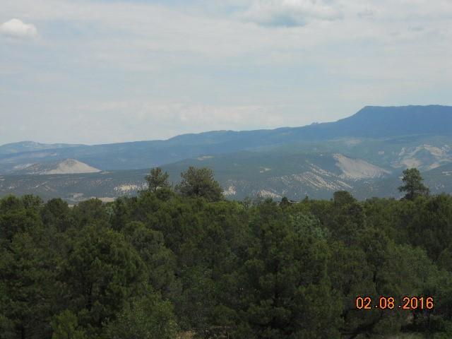 41 Turkey Trail Ridgway, CO 81432 - Photo 20 of 26 DSCN2579 (Small)