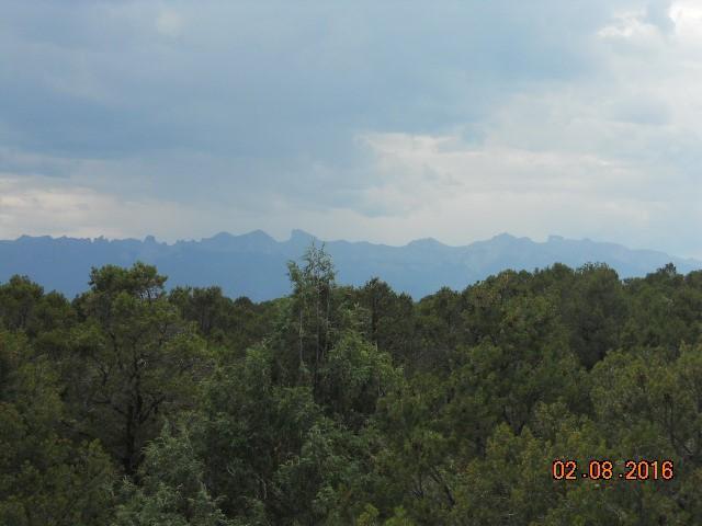41 Turkey Trail Ridgway, CO 81432 - Photo 21 of 26 DSCN2580 (Small)