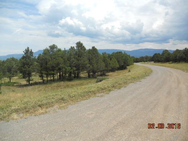 41 Turkey Trail Ridgway, CO 81432 - Photo 24 of 26 DSCN2583 (Small)