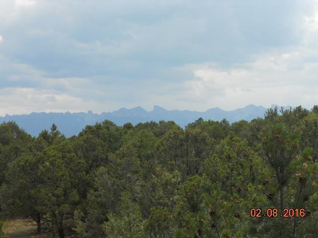 41 Turkey Trail Ridgway, CO 81432 - Photo 3 of 26 DSCN2562 (Small)