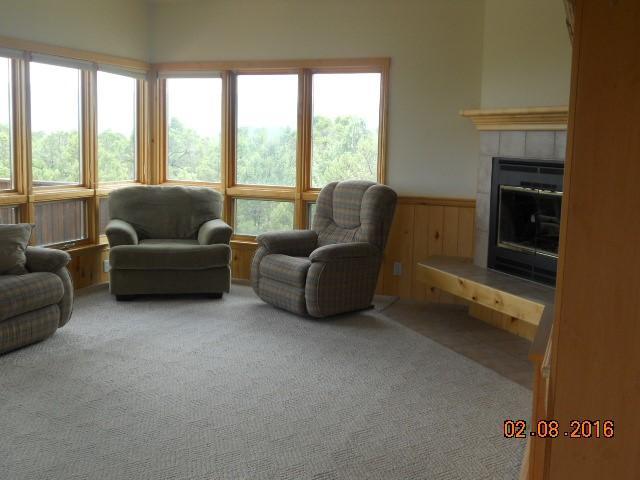 41 Turkey Trail Ridgway, CO 81432 - Photo 10 of 26 DSCN2569 (Small)