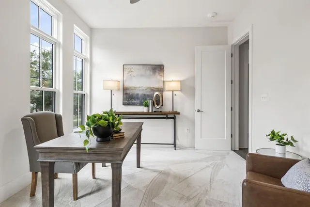 a living room with furniture and a potted plant