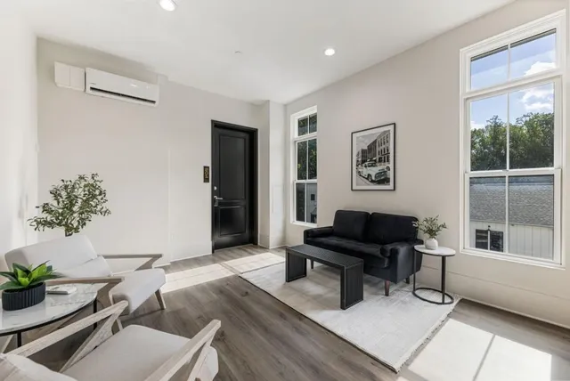 a living room with furniture and a potted plant