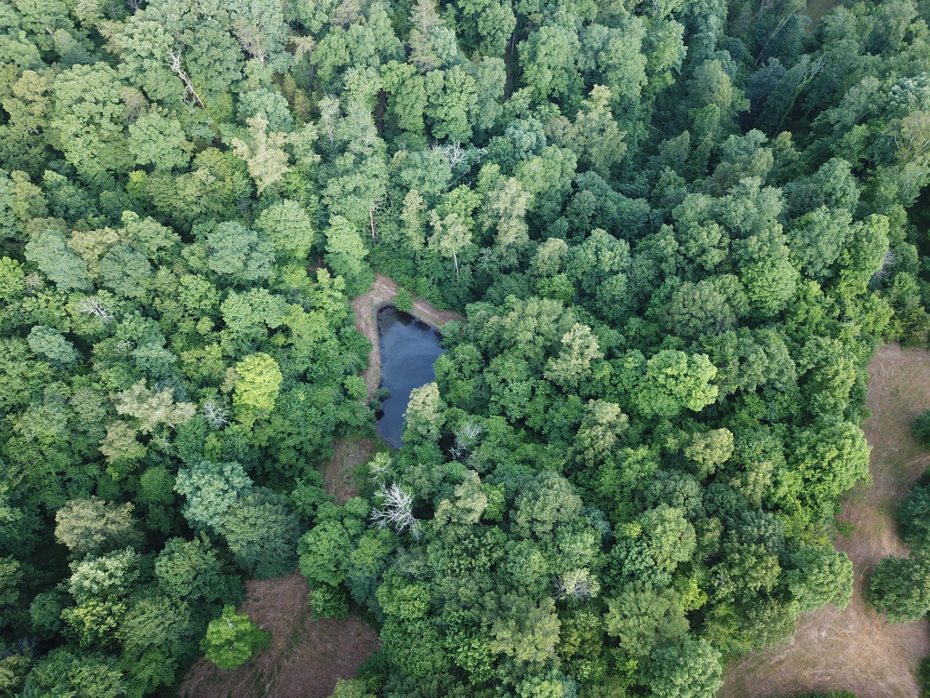 330 Johnson Gap Road Clinton, TN 37716 - Photo 6 of 21 DJI_0060