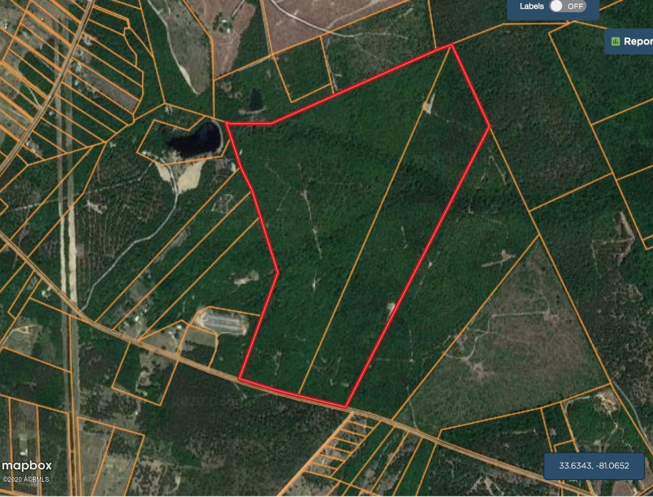 1199 Waters Ferry Road North, SC 29112 - Photo 11 of 50 WhatsApp Image 2020-04-24 at 2.15.52 PM