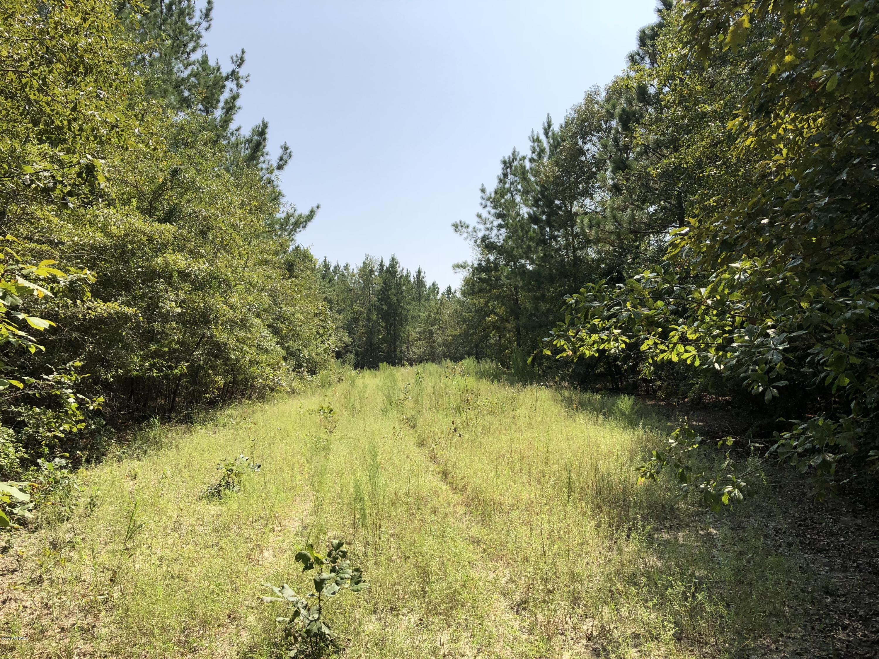 1199 Waters Ferry Road North, SC 29112 - Photo 32 of 50 IMG_1335