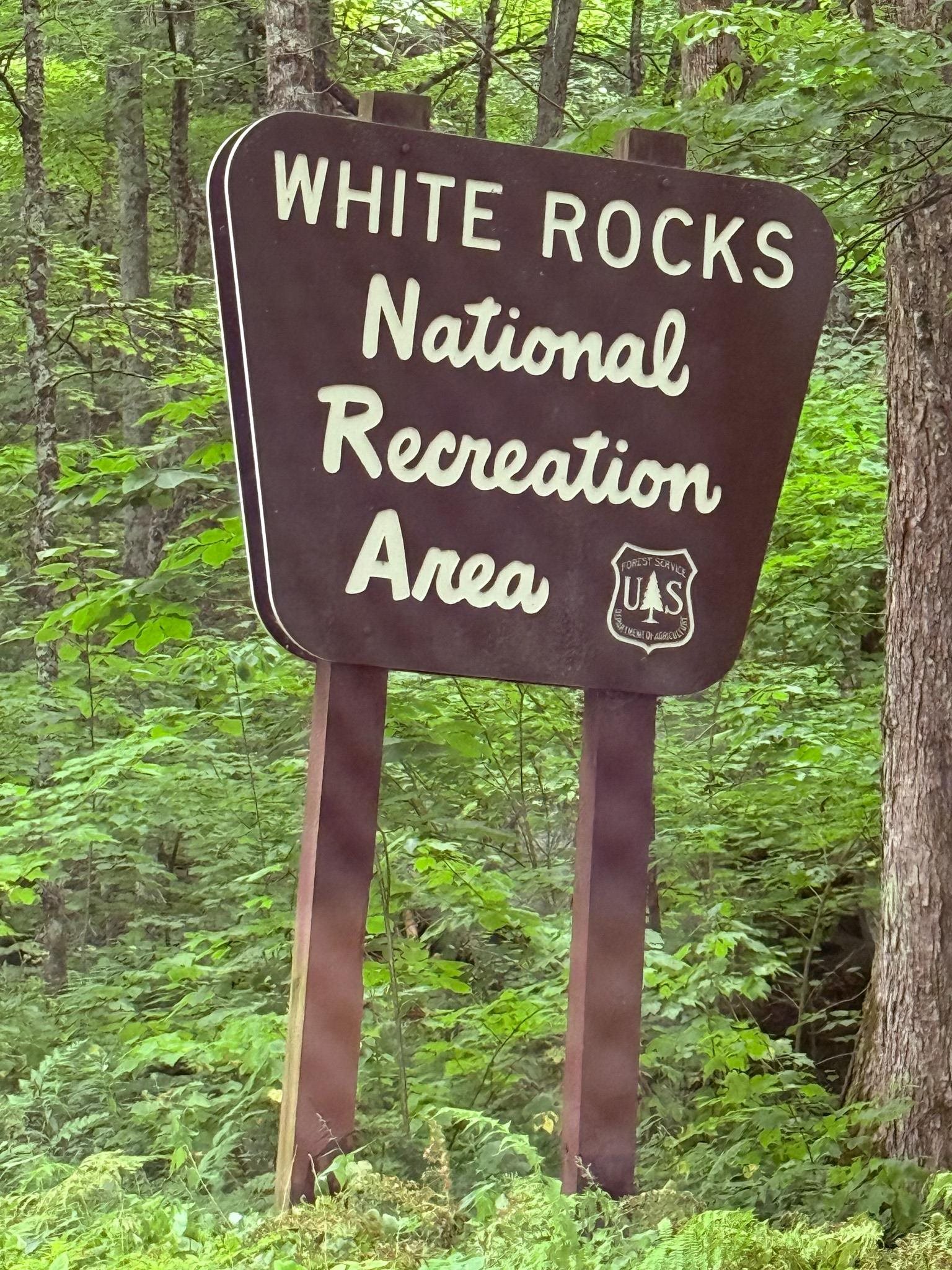 633 Brooklyn Road Mount Tabor, VT 05739 - Photo 35 of 37