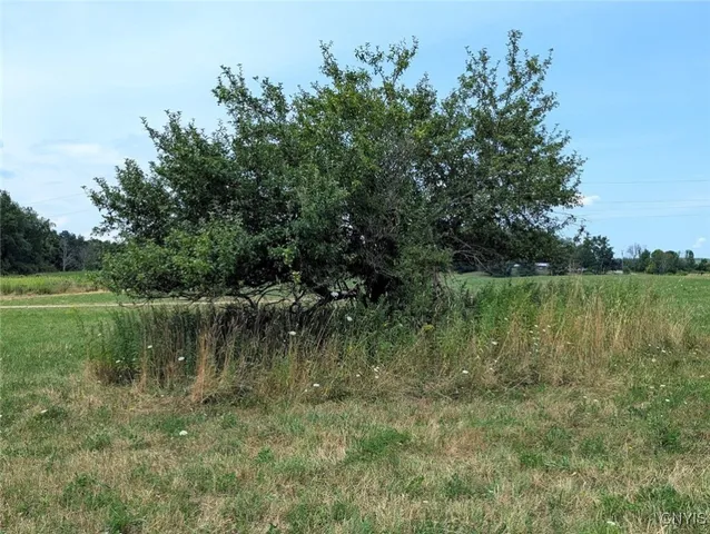 $80,000 | 46 County Route, Arkport, NY 14807