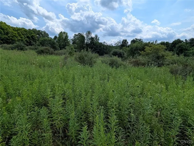 $80,000 | 46 County Route, Arkport, NY 14807