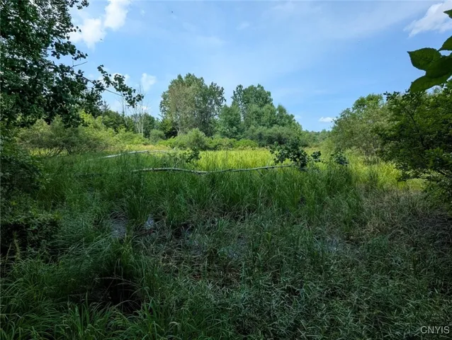 $80,000 | 46 County Route, Arkport, NY 14807