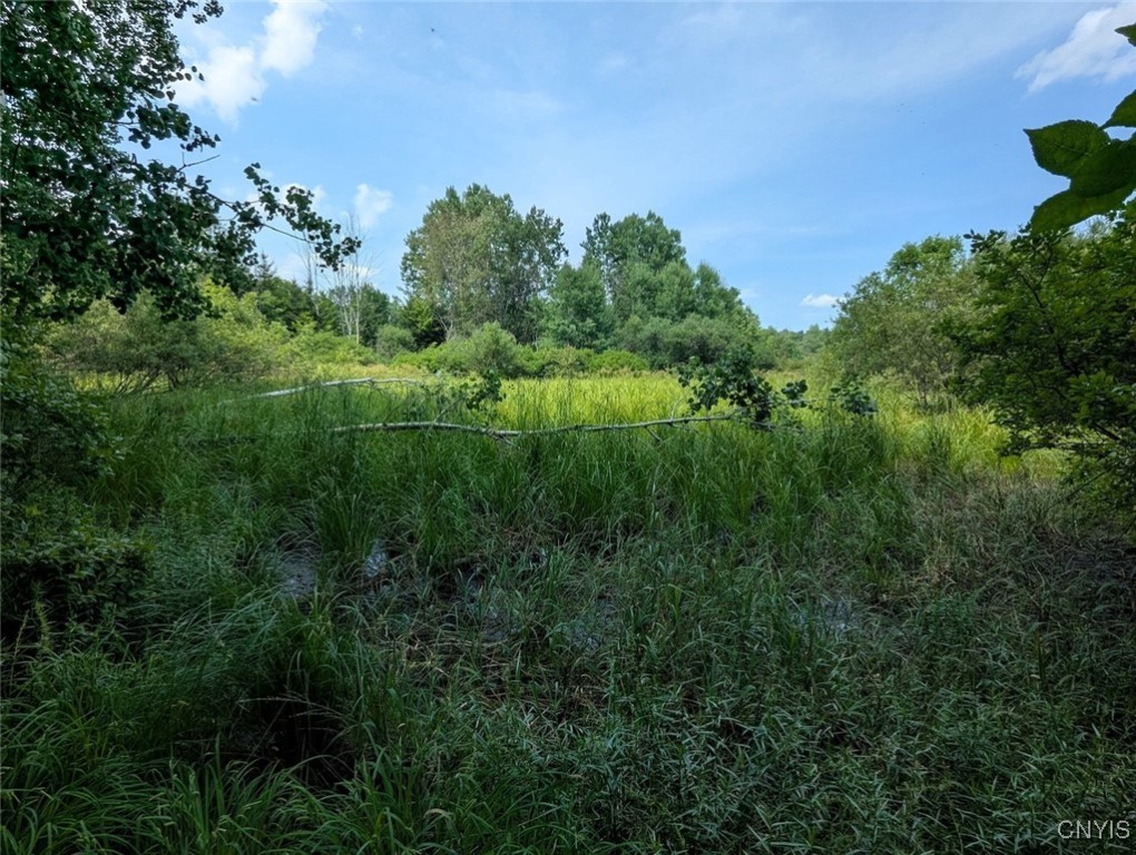 46 County Route Arkport, NY 14807 - Photo 13 of 43