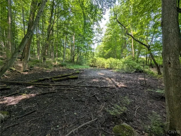 $80,000 | 46 County Route, Arkport, NY 14807