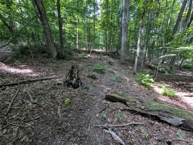 $80,000 | 46 County Route, Arkport, NY 14807