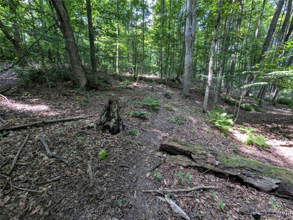 46 County Route Arkport, NY 14807 - Photo 15 of 43