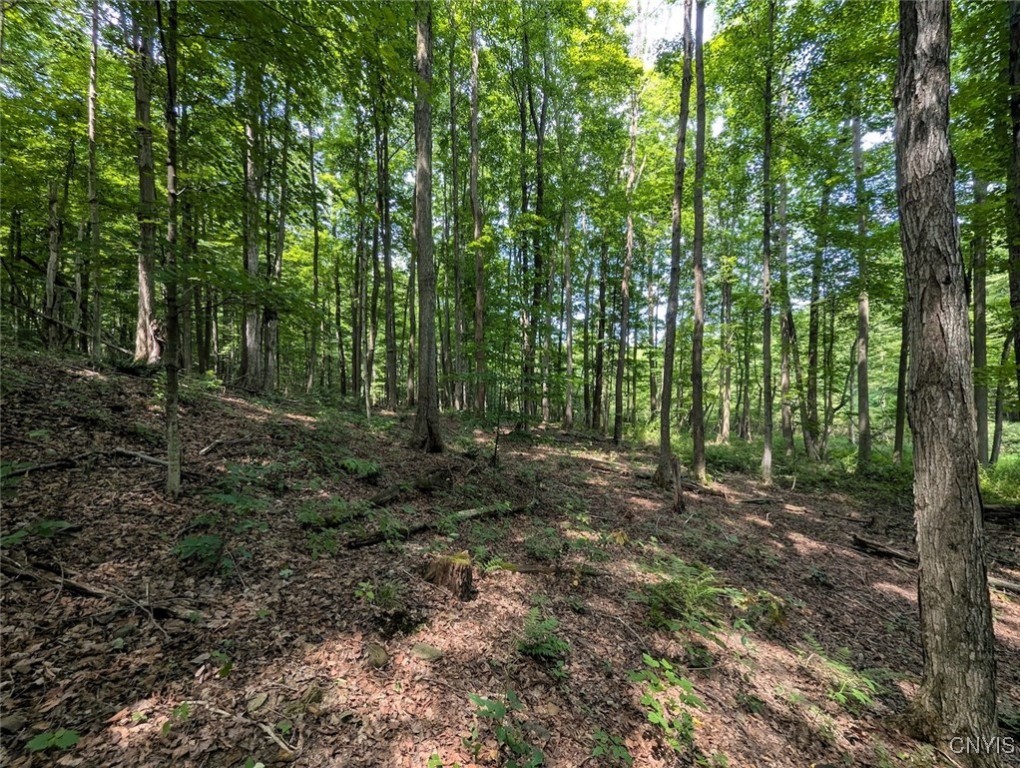 46 County Route Arkport, NY 14807 - Photo 16 of 43