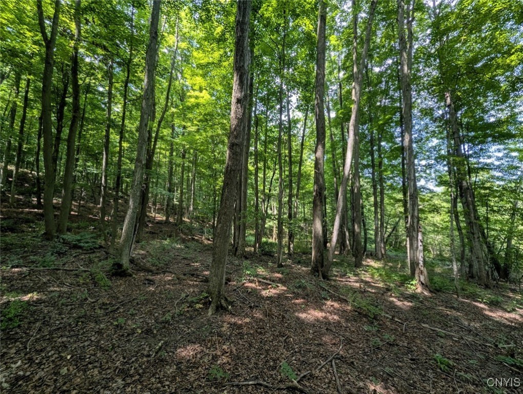 46 County Route Arkport, NY 14807 - Photo 17 of 43