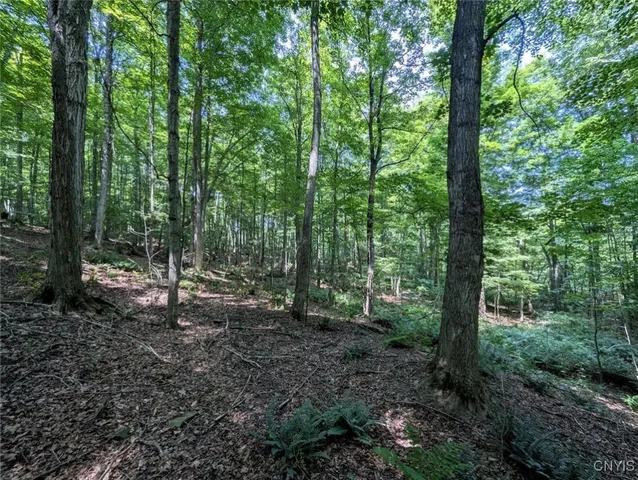 $80,000 | 46 County Route, Arkport, NY 14807