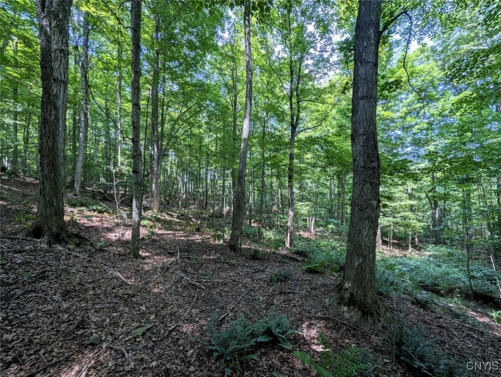 46 County Route Arkport, NY 14807 - Photo 18 of 43