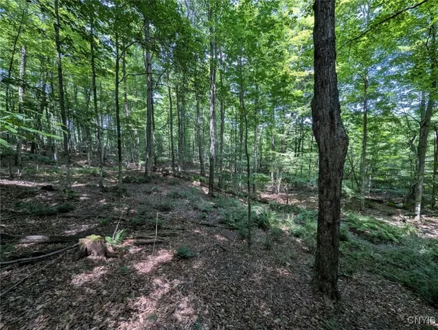 $80,000 | 46 County Route, Arkport, NY 14807