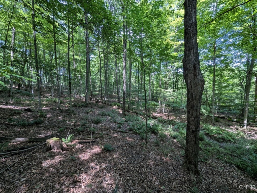 46 County Route Arkport, NY 14807 - Photo 19 of 43