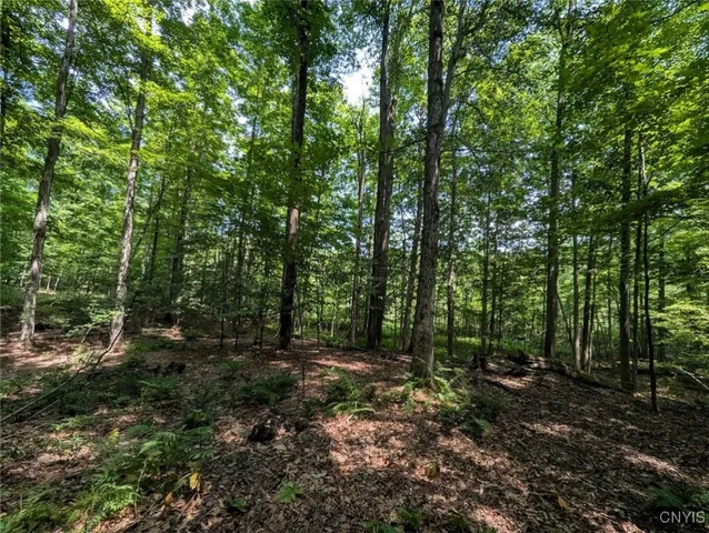 $80,000 | 46 County Route, Arkport, NY 14807