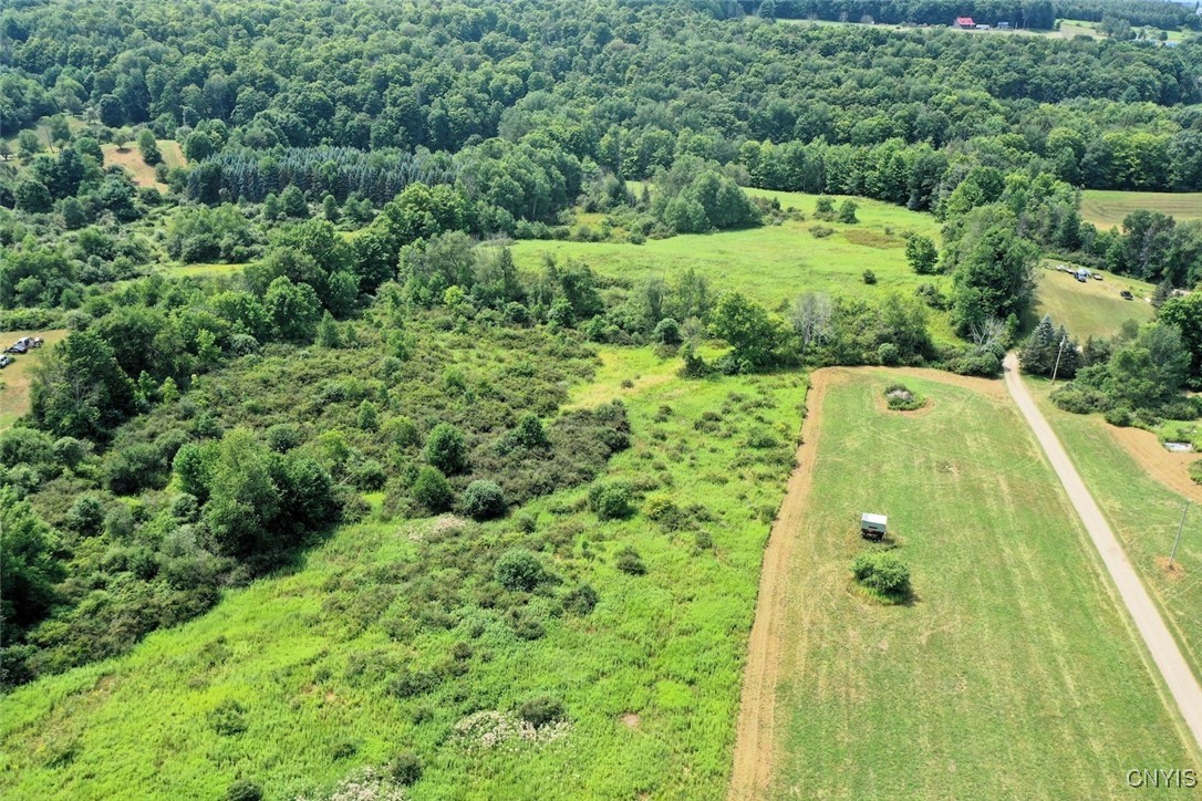 46 County Route Arkport, NY 14807 - Photo 2 of 43