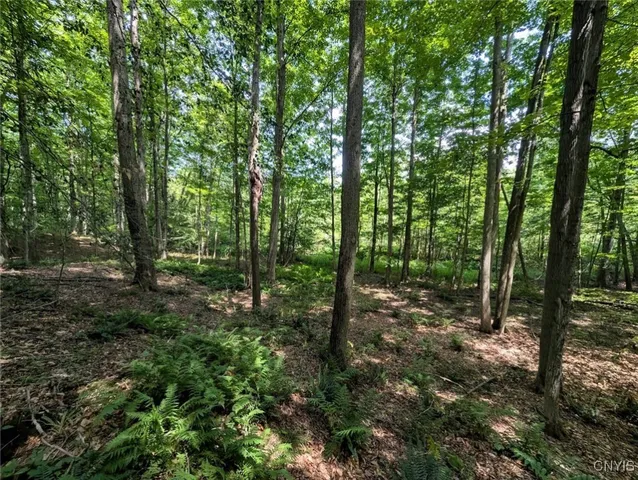 $80,000 | 46 County Route, Arkport, NY 14807