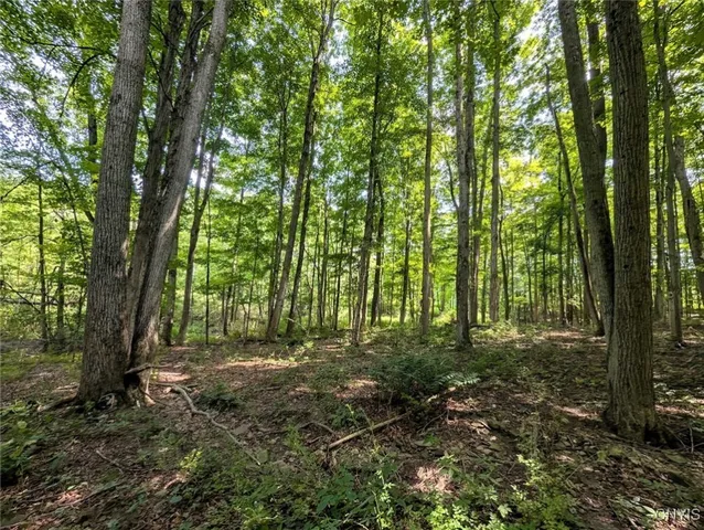 $80,000 | 46 County Route, Arkport, NY 14807