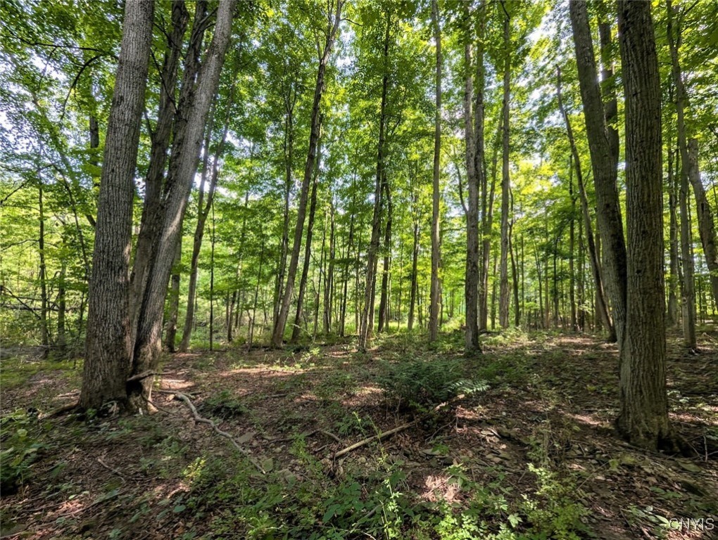 46 County Route Arkport, NY 14807 - Photo 22 of 43