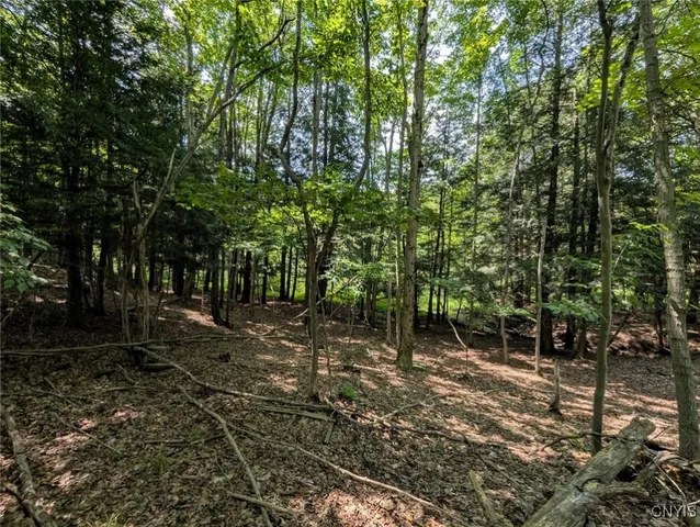 $80,000 | 46 County Route, Arkport, NY 14807