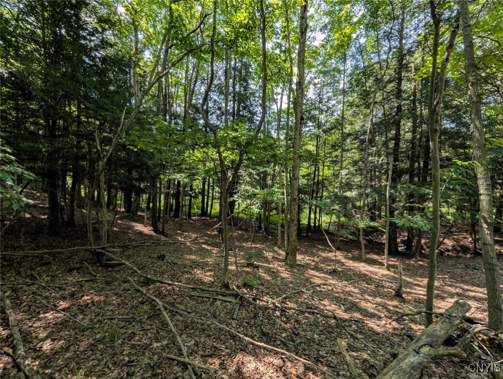 46 County Route Arkport, NY 14807 - Photo 23 of 43