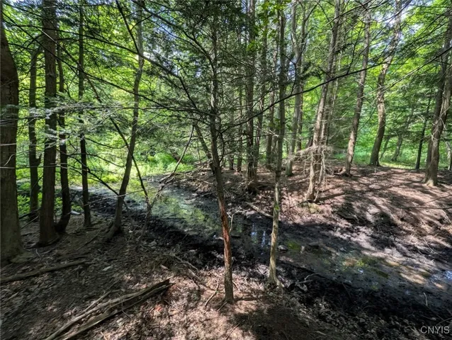 $80,000 | 46 County Route, Arkport, NY 14807