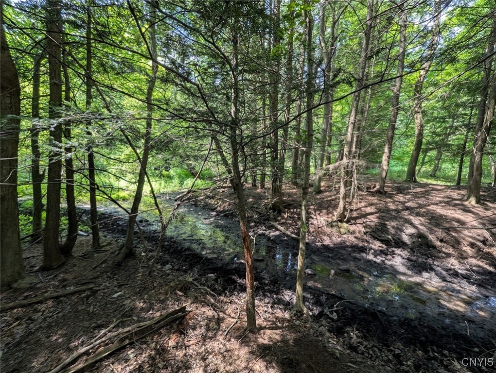 46 County Route Arkport, NY 14807 - Photo 24 of 43