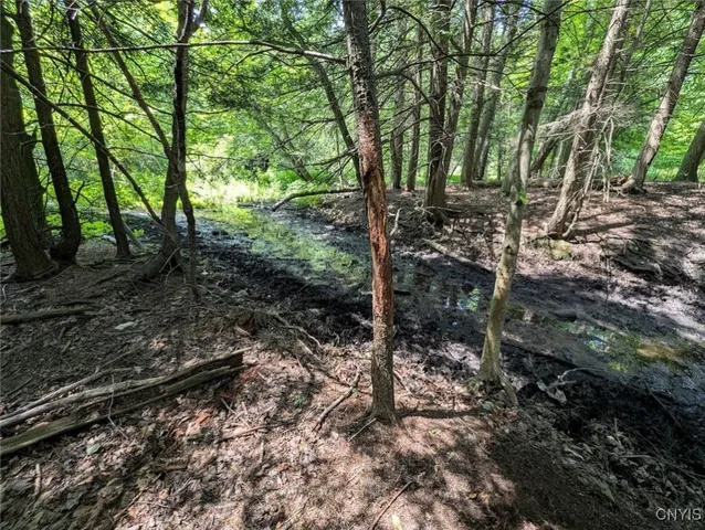 $80,000 | 46 County Route, Arkport, NY 14807