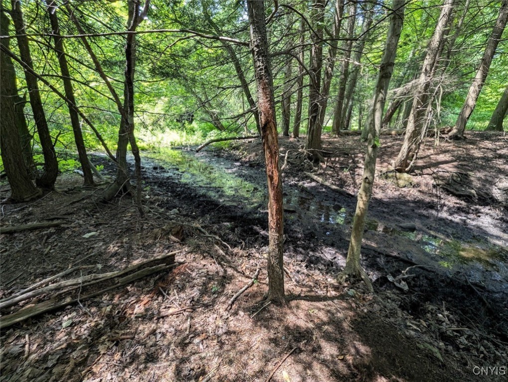 46 County Route Arkport, NY 14807 - Photo 25 of 43