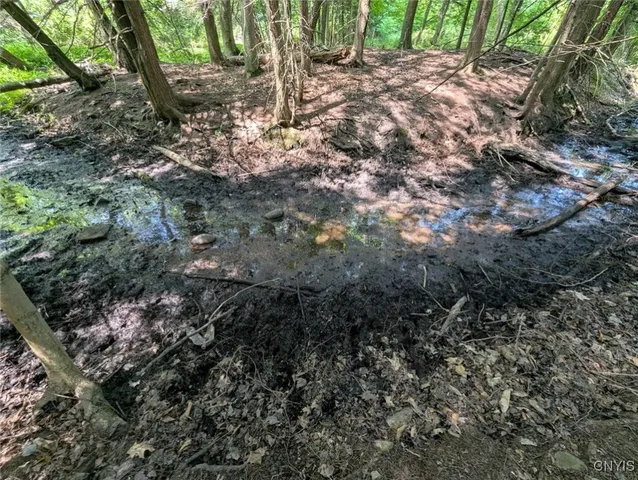 $80,000 | 46 County Route, Arkport, NY 14807