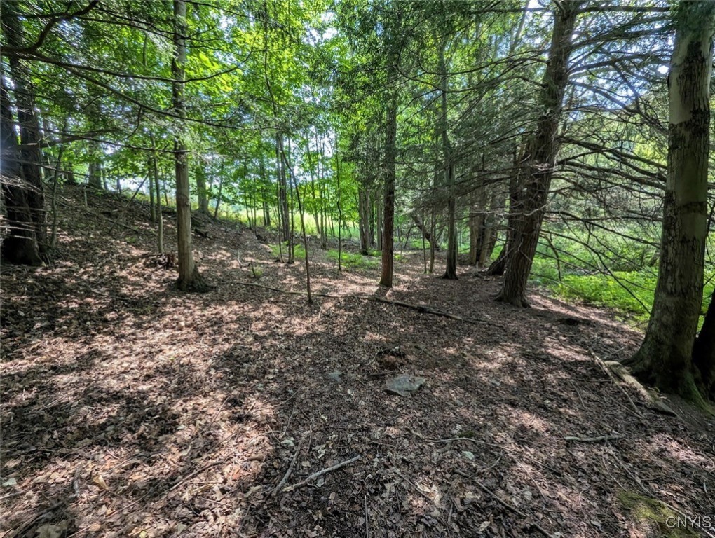 46 County Route Arkport, NY 14807 - Photo 27 of 43