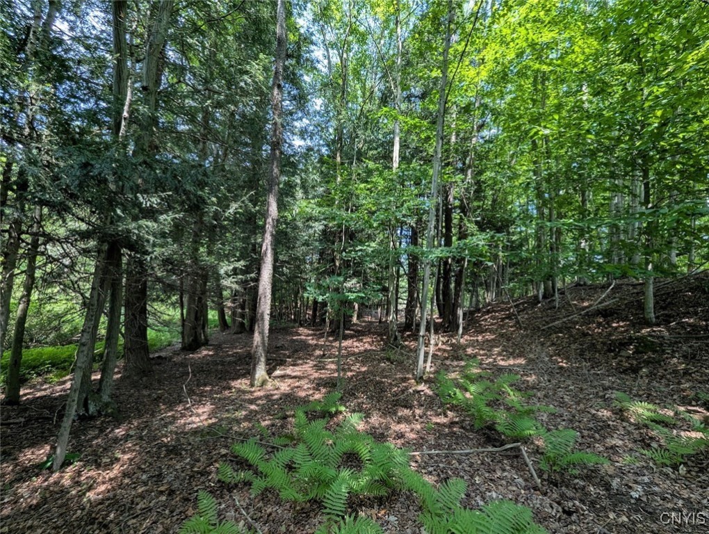 46 County Route Arkport, NY 14807 - Photo 28 of 43